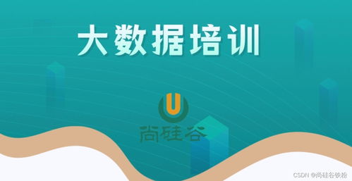 零基礎(chǔ)入門大數(shù)據(jù)開發(fā)技術(shù) 從構(gòu)建知識(shí)體系到實(shí)戰(zhàn)的完整路徑